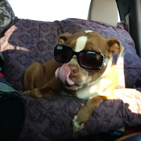 Closet closed - Picture 4 of 8